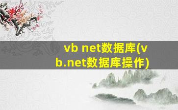 vb net数据库(vb.net数据库操作)